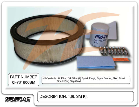 4.6L GASEOUS ENG (G3) SM KIT